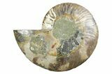 Cut & Polished Ammonite Fossil (Half) - Madagascar #347536-1
